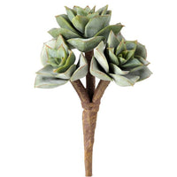 Pl.Triple Rosette Succulent Pick 7