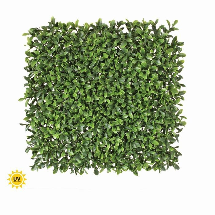 Pl.Uv Proof American Boxwood Mat 12"