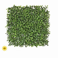 Pl.Uv Proof American Boxwood Mat 12
