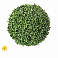 Pl.Uv Proof American Boxwood Ball 11.5