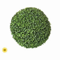 Pl.Uv Proof American Boxwood Ball 16