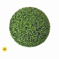 Pl.Uv Proof American Boxwood Ball 20