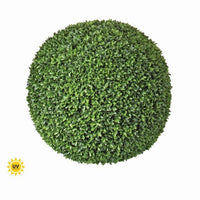 Pl.Uv Proof American Boxwood Ball 24