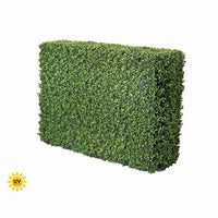 Pl.Uv Proof American Boxwood Hedge 40X12X29
