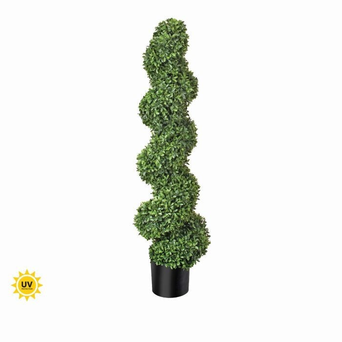 47"Rsb Pl Uv American Boxwood Spiral Topi