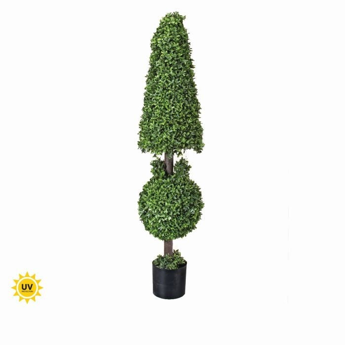 Pl.Uv Prf American Boxwd Bal&Cone Topii53"Rsb