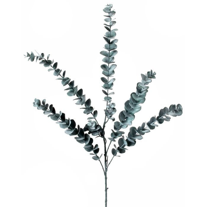 Pl Eucalyptus Spray X5 35"
