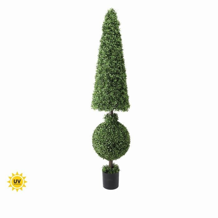 72"Rsb Pl Uv American Boxwd Bal&Con Topi