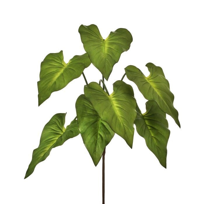 Natural Touch Taro Plant X7 25"
