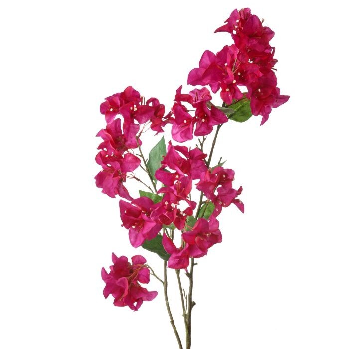 Bougainvillea Branch 41"