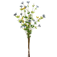Wild Blueberry Bundle X6 19