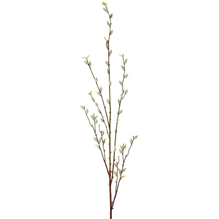 Pussy Willow Branch 53"