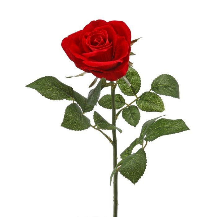 Velvet Rose Stem 25"