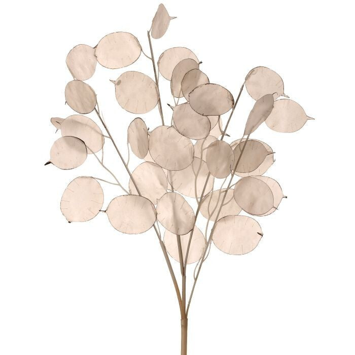 Pl. Lunaria Spray 27"