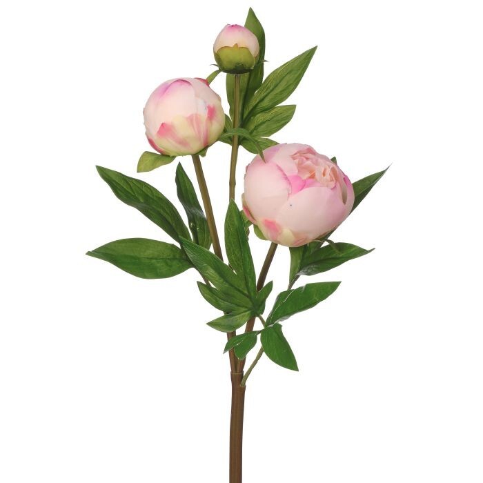 Just Cut Peony Bud Spray X3 25"