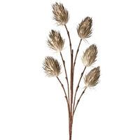 Foam Thistle X6 46