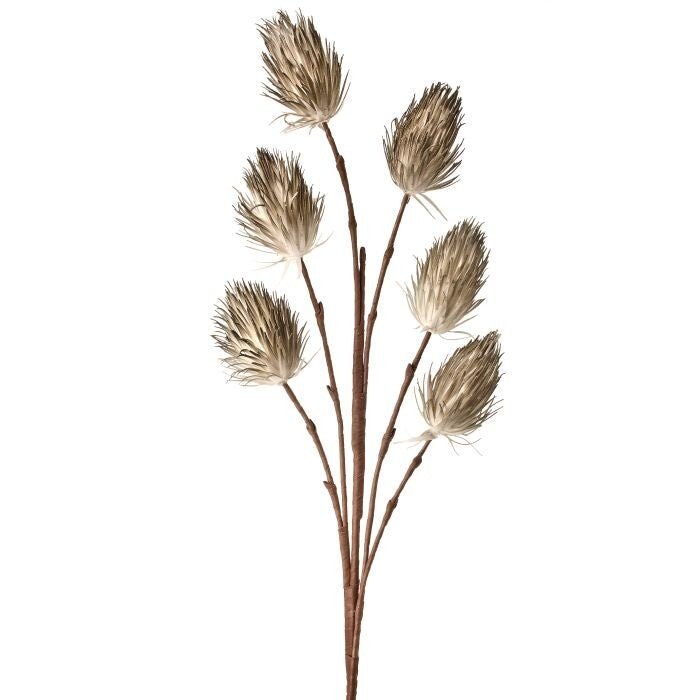 Foam Thistle X6 46"