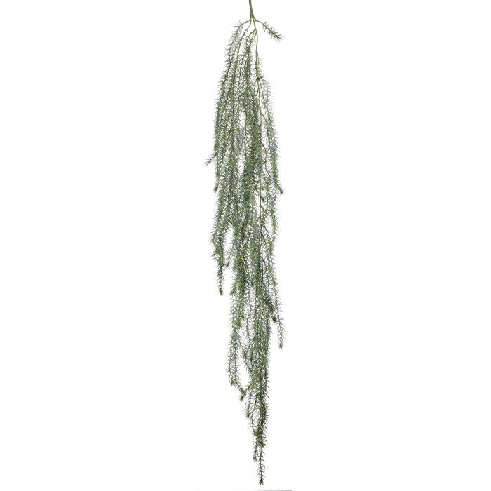 Pl Hanging Springeri Fern 48"