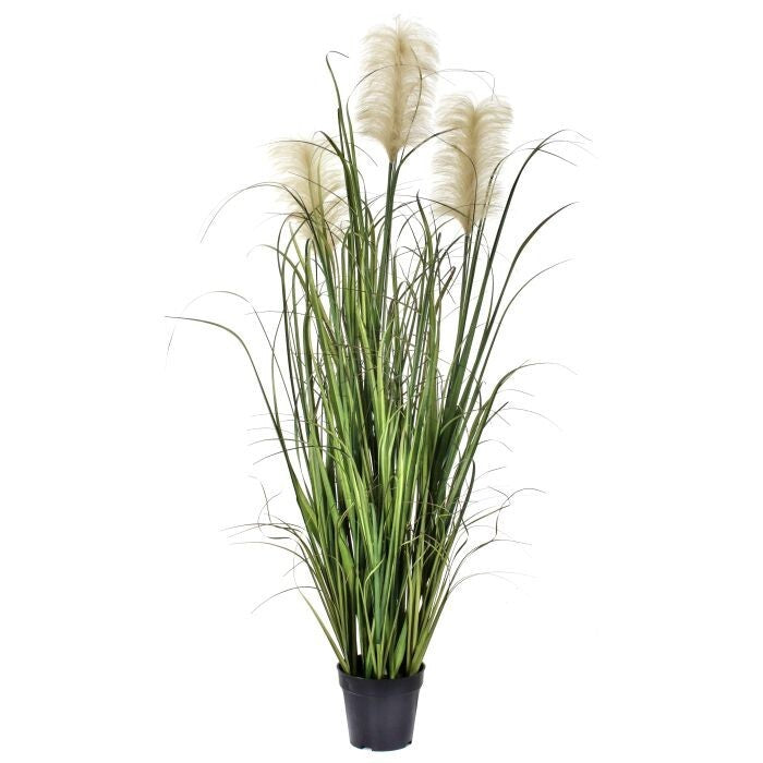 Ptd Pvc Nantucket Dunes Grass X3 Plumes 55"