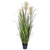 Ptd Pvc Nantucket Dunes Grass X3 Plumes 55