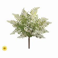 Uv Prf Nat Touch Lace Fern Bush 18
