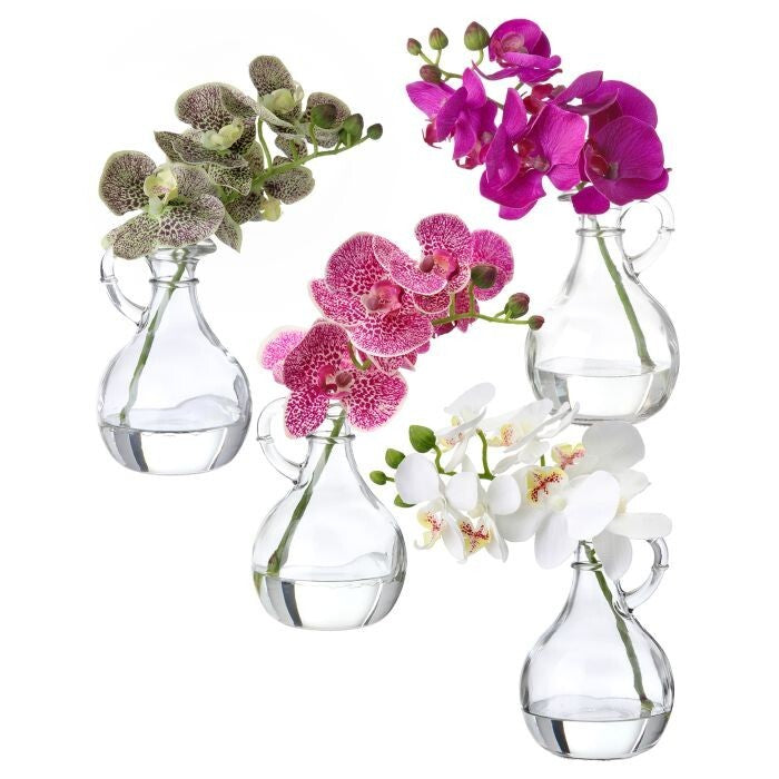 9" Phalaenopsis In Glass W Handle 4As