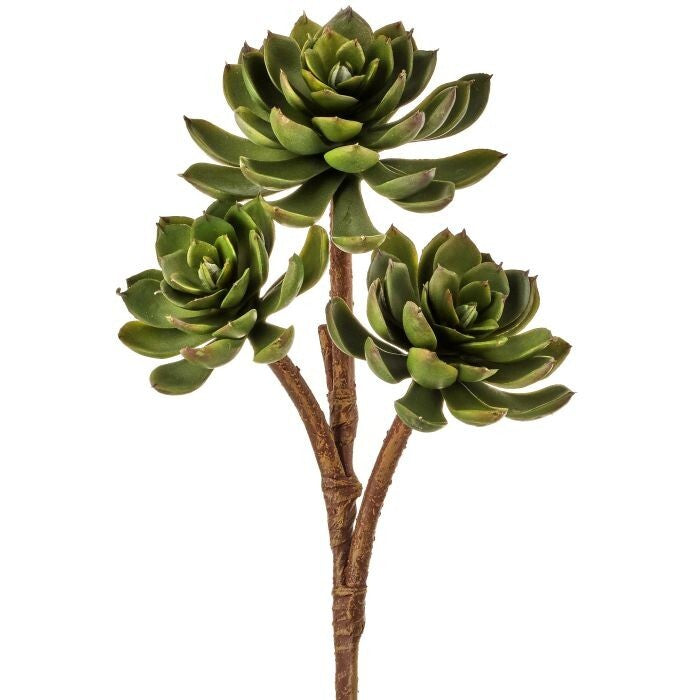 Pl Triple Hen & Chick Branch 18"