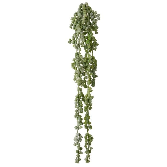 Pl Nat Tch Nut Succulent Vine 19"