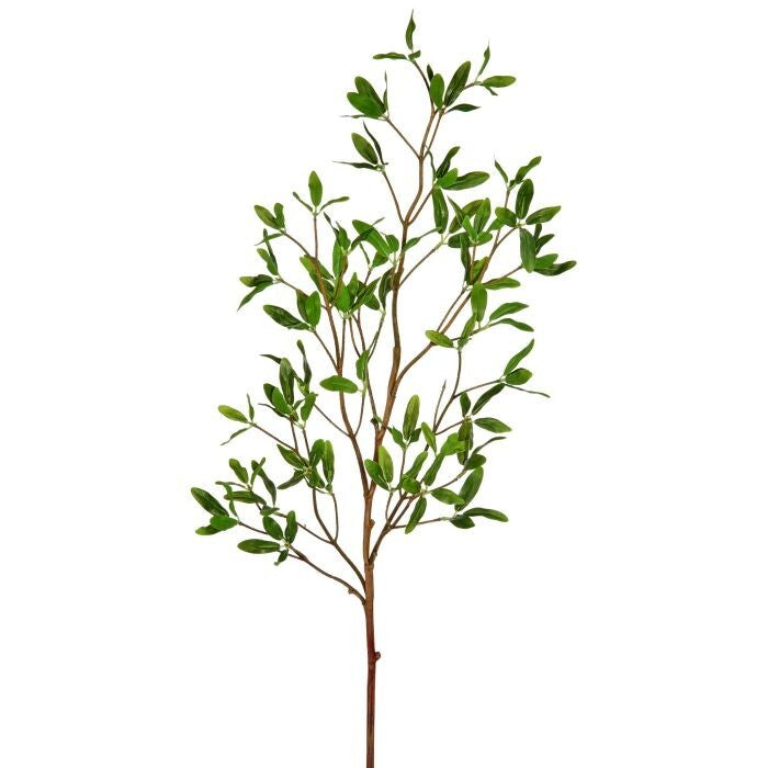 Asian Privet Spray 33"