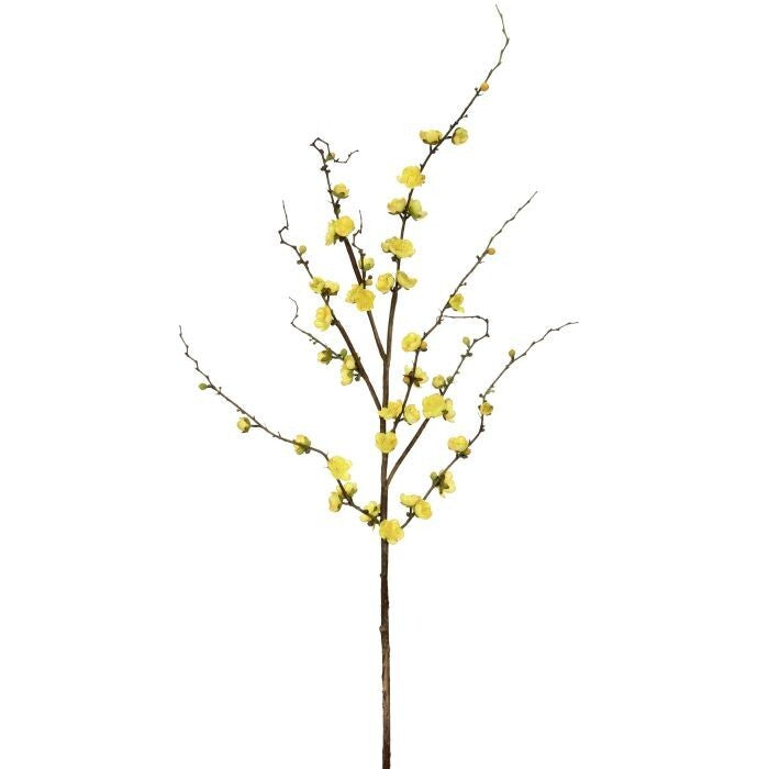 Plum Blossom Branch 51"