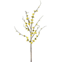 Plum Blossom Branch 51