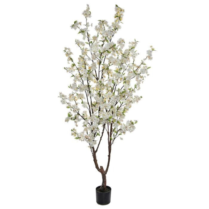 Ptd. Cherry Blossom Tree 6.5'