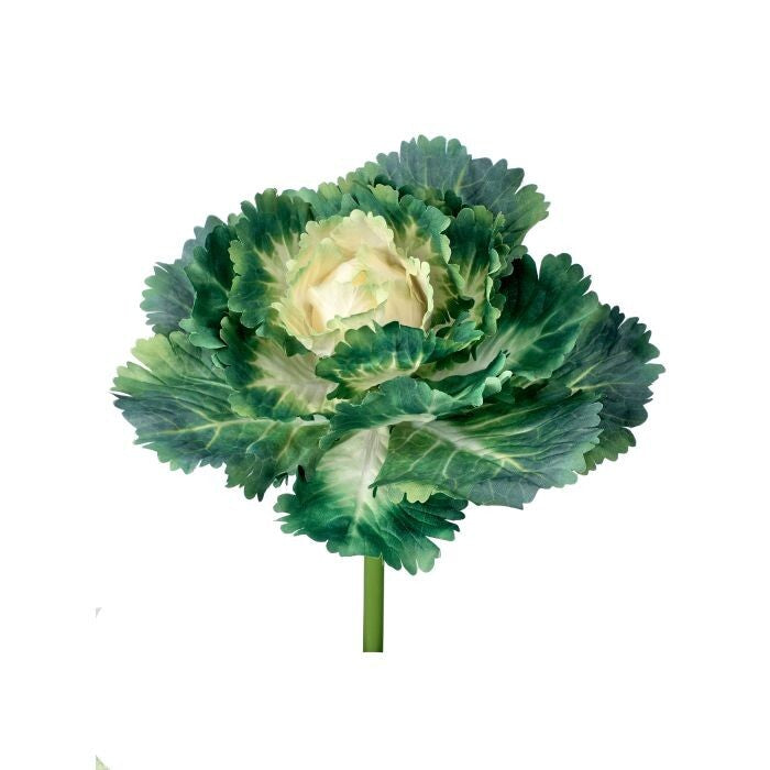 Kale Pick 7.25"D
