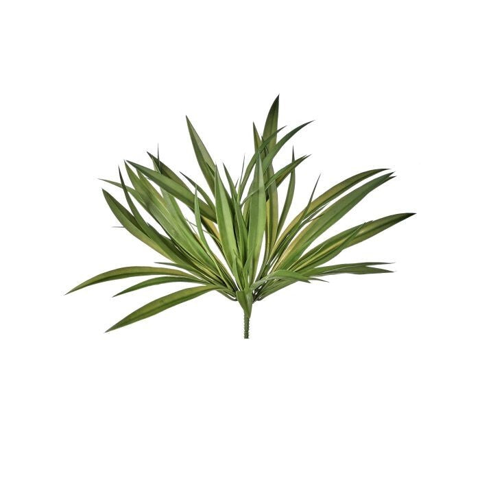 Pl. Vanilla Grass Bush X7 15"