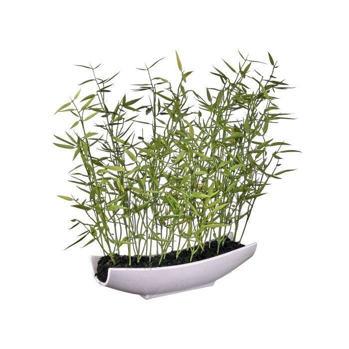 Pl. Bamboo In Ceramic Dish 15"
