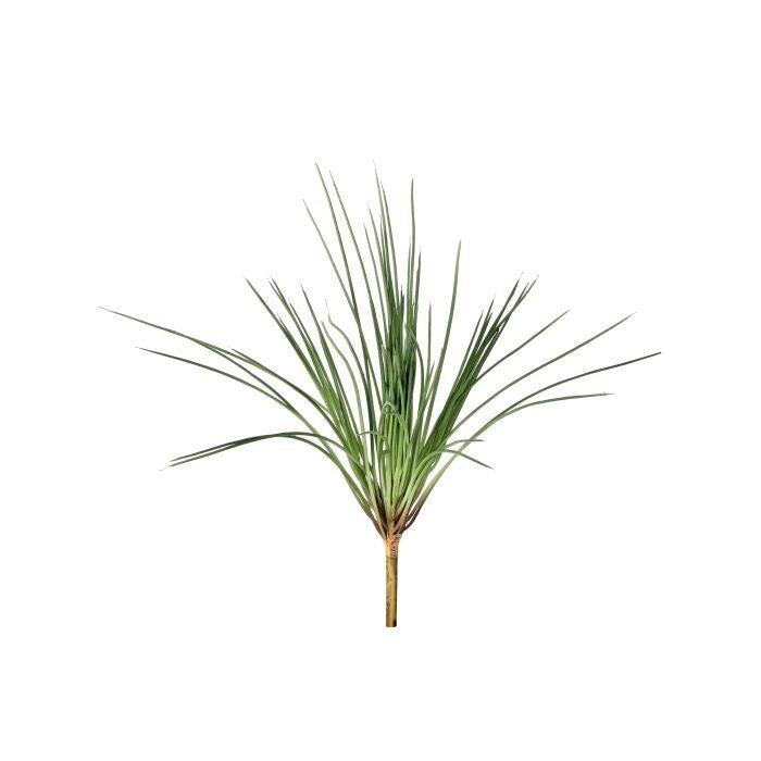 Pl. Onion Grass Bush 17.5"