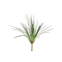 Pl. Onion Grass Bush 17.5