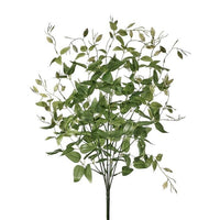 Pu. Nat Tch Upright Tradescantia Bush 24
