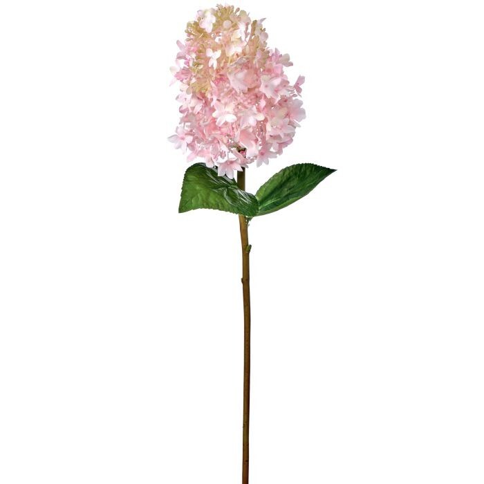 Pinnacle Hydrangea Stem 25"