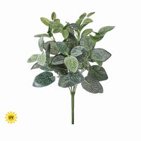 Pu Uv Treated Fittonia Bush X12 17