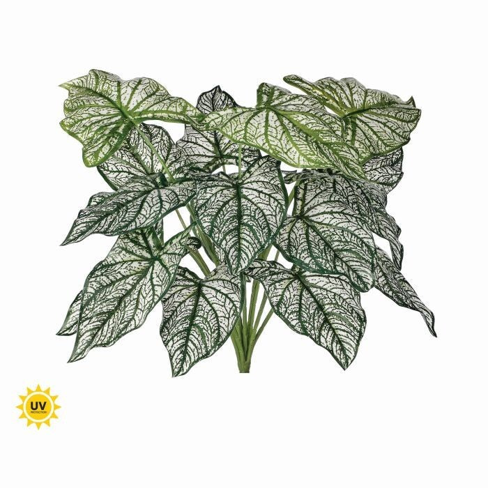 Pu Uv Treated Calladium Bush X18 18"