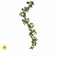 Pu Uv Treated Ivy Garland 72