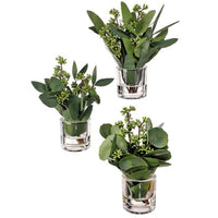 Nat Tch Pu Eucalyptus In Glass Illus 9.5