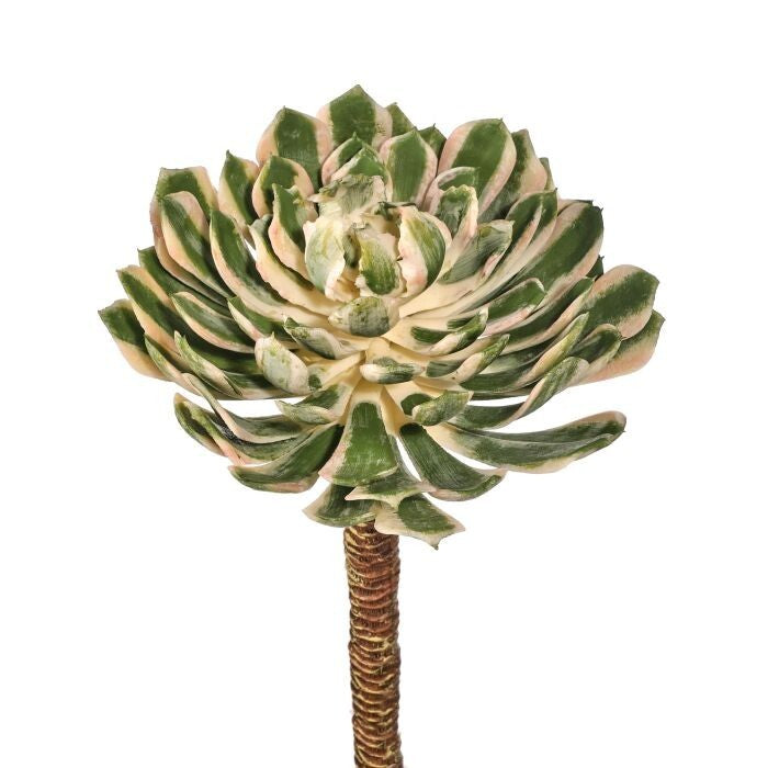 Pl. Uv Spoon Succulent Pick 10"