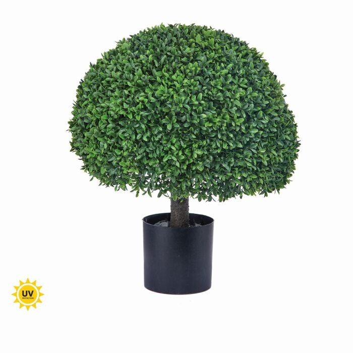 Ptd. Uv Ok Pl. American Boxwood Half Ball 23"