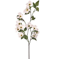 North American Dogwood Spray 40