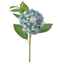 Just Cut New Growth Hydrangea 23
