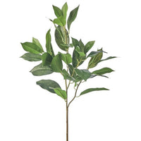 Pu Lemon Leaf Spray 27