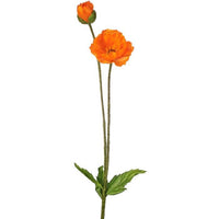 Summer Poppy + Bud 29