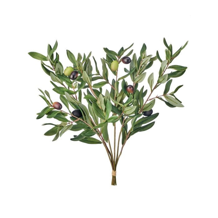 Olive Leaf Bundle X6  19"